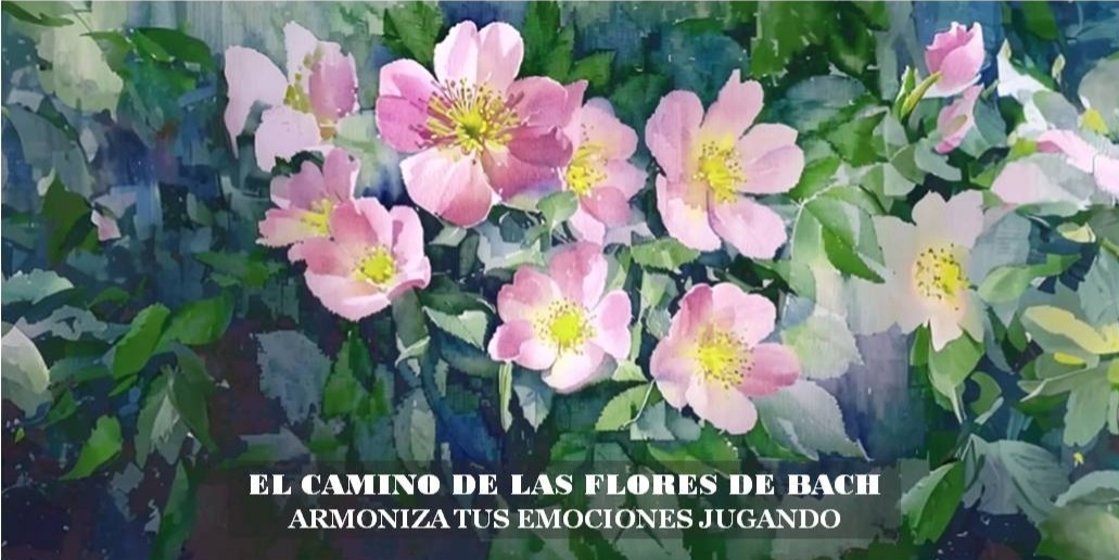 EL CAMINO DE LAS FLORES DE BACH. ARMONIZA TUS EMOCIONES JUGANDO