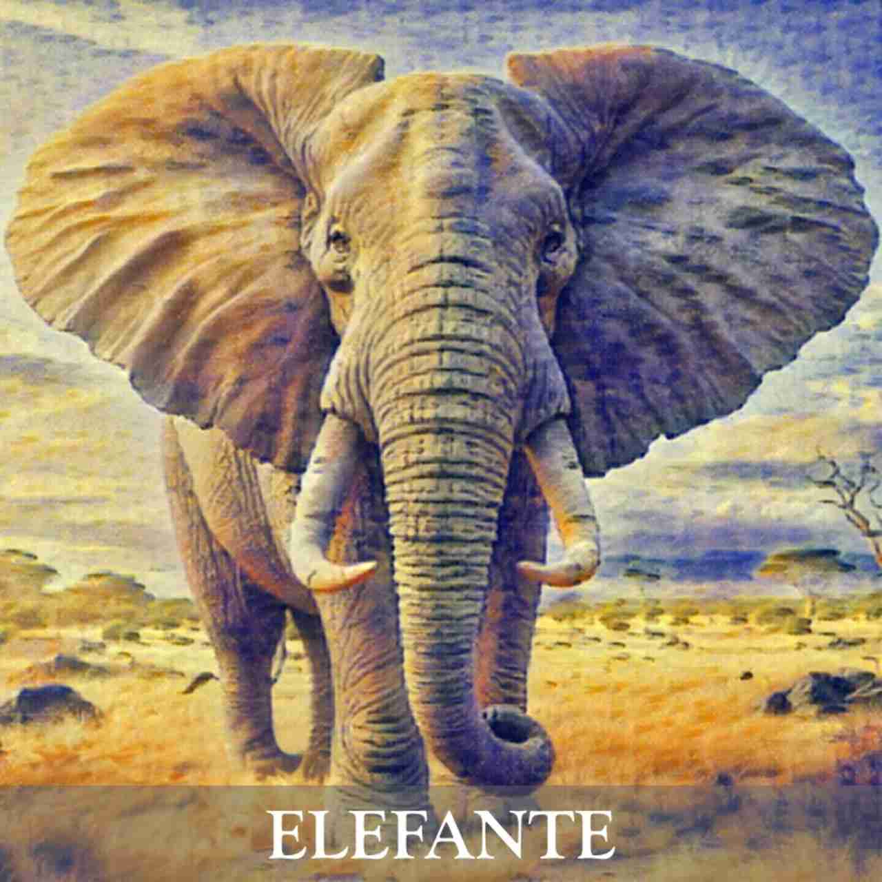 ELEFANTE