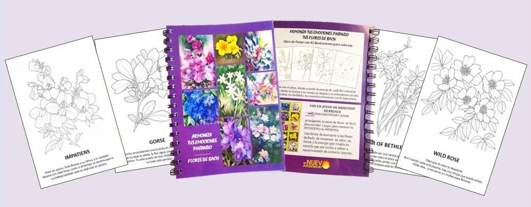 LIBRO ARMONIZA TUS EMOCIONES PINTANDO FLORES DE BACH
