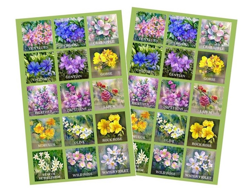 MEMOTEST FLORES DE BACH