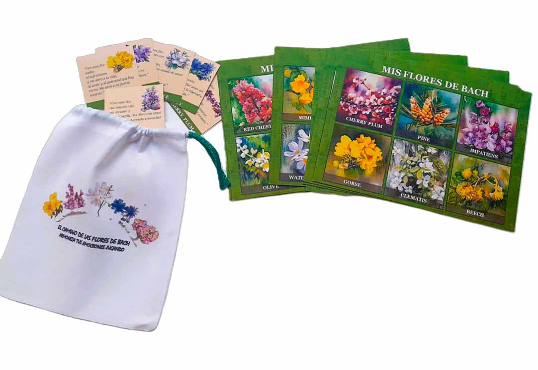 LA LOTERIA DE LAS FLORES